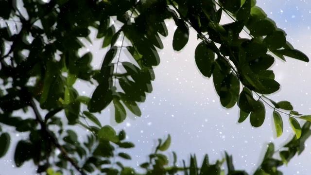 Gesse Gallagher - Spirit Of Fire(meditation, Yoga, Relax, Ambient)