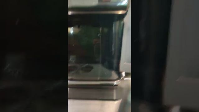 Том Ям - Тайский Суп, Обед Олигарха ГАЗЕЛИСТА ХОЛОСТЯКА