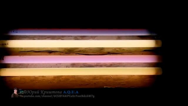 Лампы для Аквариумных растений. Часть 2. Эффективная комбинация ламп. Освещение, свет в Аквариуме смотреть онлайн