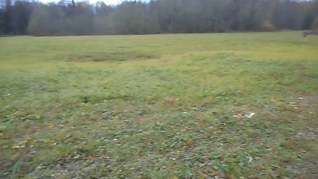 Охотники на дереве лабаз строят, будут кабанов на тушенку крошить смотреть онлайн