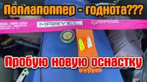 #44 ПОПЛАПОППЕР | Что за дичь | Ловлю плотву на новую снасть #рыбалка
