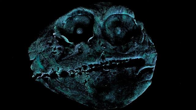 GNANKN - Oo Ora Roa (live@rhiz) смотреть онлайн