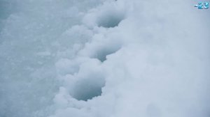 ШУРУПОВЁРТ ДЛЯ РЫБАЛКИ! Шуруповёрт для ледобура. [Идеальный комплект?] БУР + Шуруповёрт = лунка