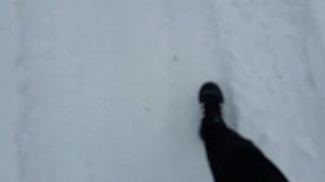 Канал "ВАСЯ НА СЕНЕ" помог мне и купил новые кроссовки,но они мне не понравились!ВСЯ ПРАВДА!