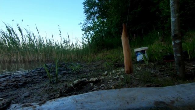 ЛЕЩ НА РЕЗИНКУ. РЫБАЛКА КАК В ДЕТСТВЕ, ТВЕРСКАЯ ОБЛАСТЬ. смотреть онлайн