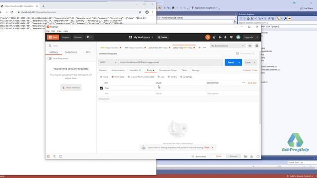 Upload File or Image with JSON Data in ASP.NET Core Web API using Postman смотреть онлайн