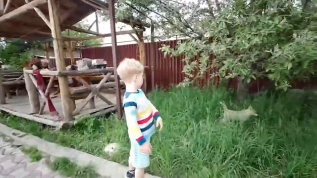 Хаски щенок, новое видео. Тесса жжёт )))СМОТРЕТЬ ВСЕМ! ИНТЕРЕСНОЕ ВИДЕО смотреть онлайн