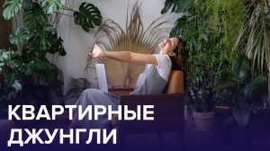 Влияние ДОМАШНИХ РАСТЕНИЙ на ЗДОРОВЬЕ | Доктор 24