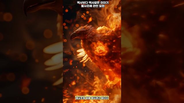 역사보다 역사 같은 이야기 불사조 일화 HIDDEN STROY IN HIS STORY смотреть онлайн