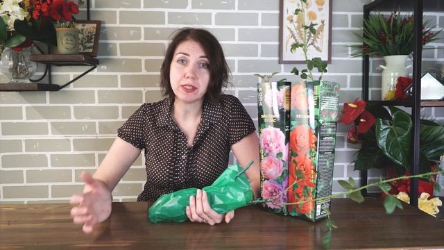 Как сохранить саженцы роз до посадки ?Уход за розой до посадки смотреть онлайн