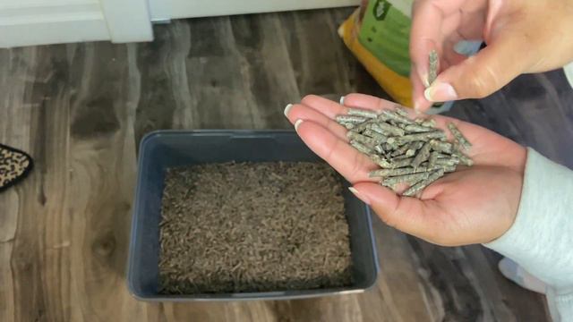I tried the cheapest cat litter I could find! Yesterday's News Paper Cat Litter Non-clumping смотреть онлайн