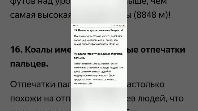 33 удивительных факта для вас смотреть онлайн