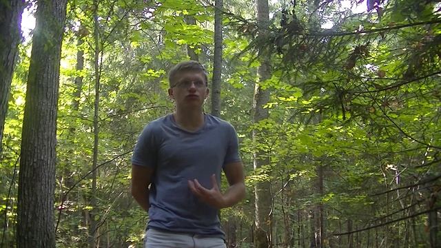 И снова в лесу Средней Полосы, сравнение с природой Приморья смотреть онлайн