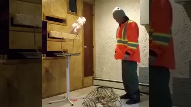 Гимры(3) смотреть онлайн