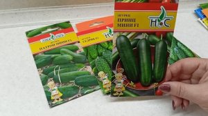 Обзор огурцов теневыносливых и жаростойких.11.02.2022