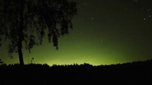 Танцы Минус - Дерево смотреть онлайн