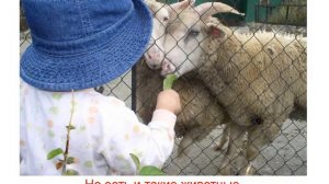 Город общественные места 2 звук