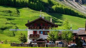 МУСЛИМ  МАГОМЕДОВ - АХ1ЕРСИ Х1У ДИЛА 2024