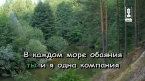 Детские   Дуэт Чёрного Кота И Пирата
