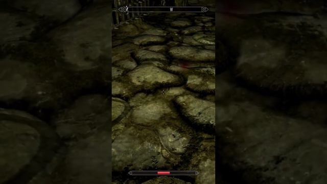 Это не я) | Skyrim Coop #memes #skyrim смотреть онлайн