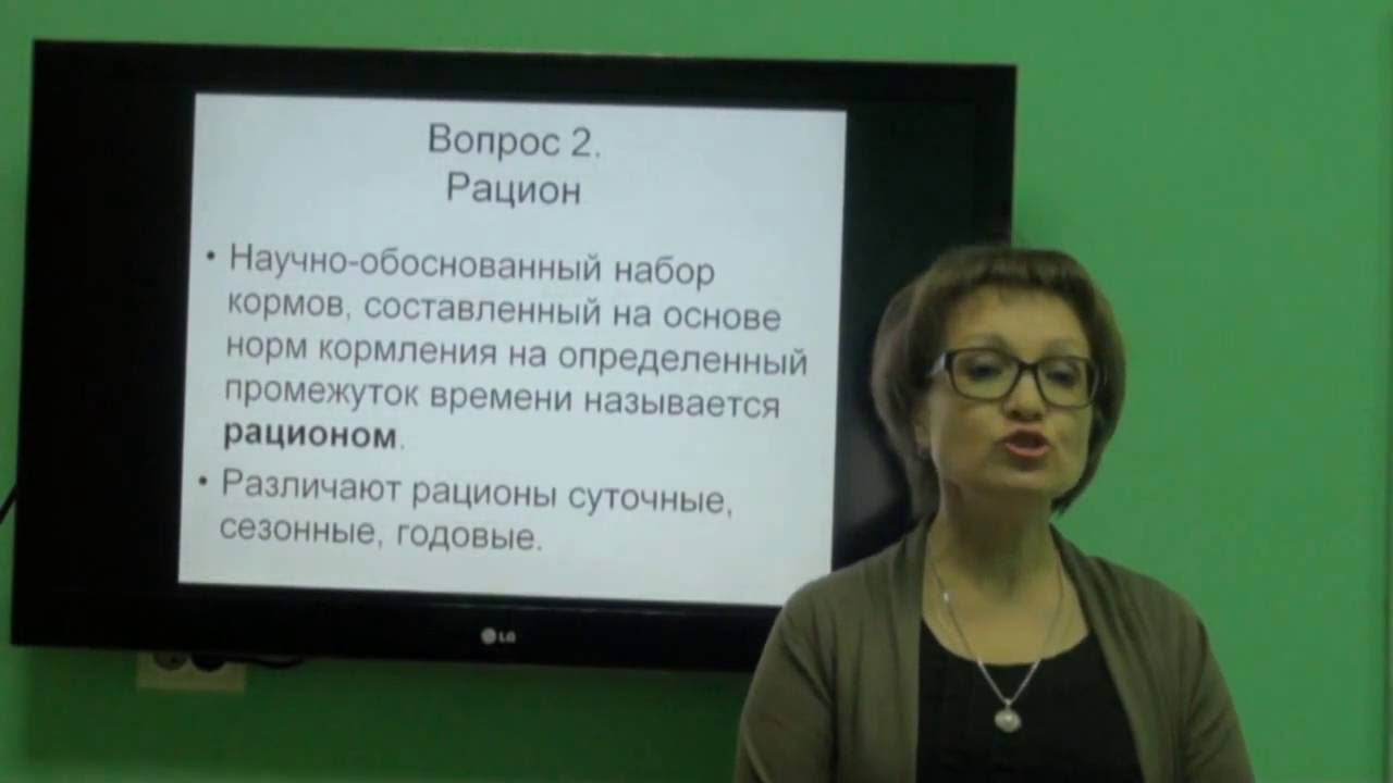 Козина Е.А. Основные элементы системы нормированного кормления. смотреть онлайн