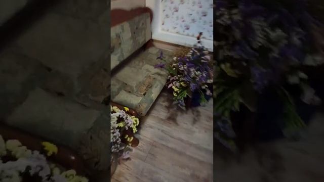 Обзор сухоцветов на продажу для клиента смотреть онлайн