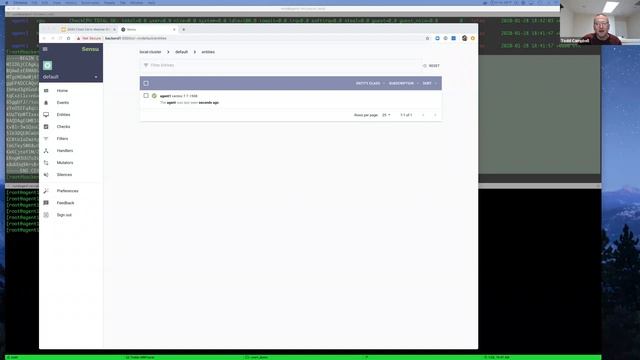 [Webinar] Securing Sensu: setting up client certificates смотреть онлайн