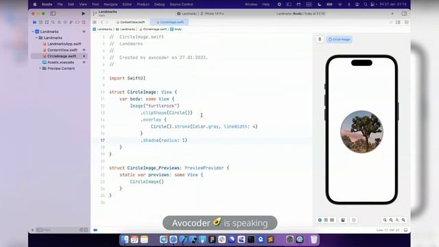 Учим SwiftUI. День 1