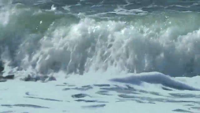 JAZZ ACCORDION MUSIC - ‘HIDDENSEE’ - Akkordeonmusik accordeon acordeon akordeon Ostsee Insel Island смотреть онлайн