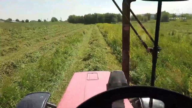 Люцерна Джея первый укос открытия сезона на МТЗ 82.1 турбо с косилкой Pöttinger. смотреть онлайн