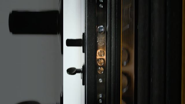 Входная дверь Лабиринт - Коллекция STORM смотреть онлайн