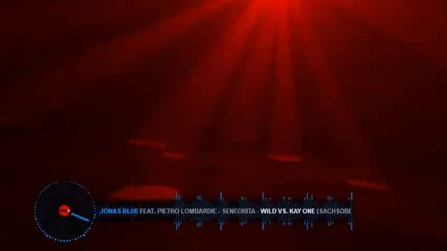 Jonas Blue - Wild Vs. Kay One Ft. Pietro Lombardi - Seneorita (Sachsobeat Mashup Video)