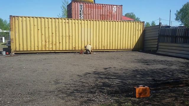 Бугай Алабай. Начало строительства новых вольеров. смотреть онлайн