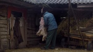 Как мы разделываем козла.