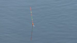 Ловим в проводку.