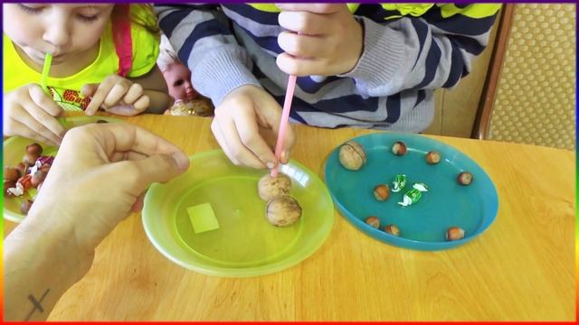 ЧЕЛЛЕНДЖ  ТРУБОЧКИ + ОРЕХИ + КОНФЕТЫ + ВЫЗОВ ?   Challenge  Straw + Kid Candy  + Nut Family FUN