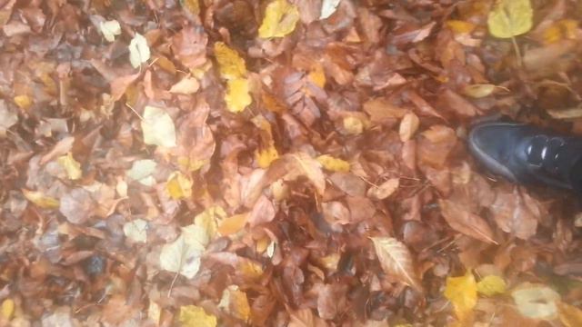 Вот что значит природа !!! смотреть онлайн