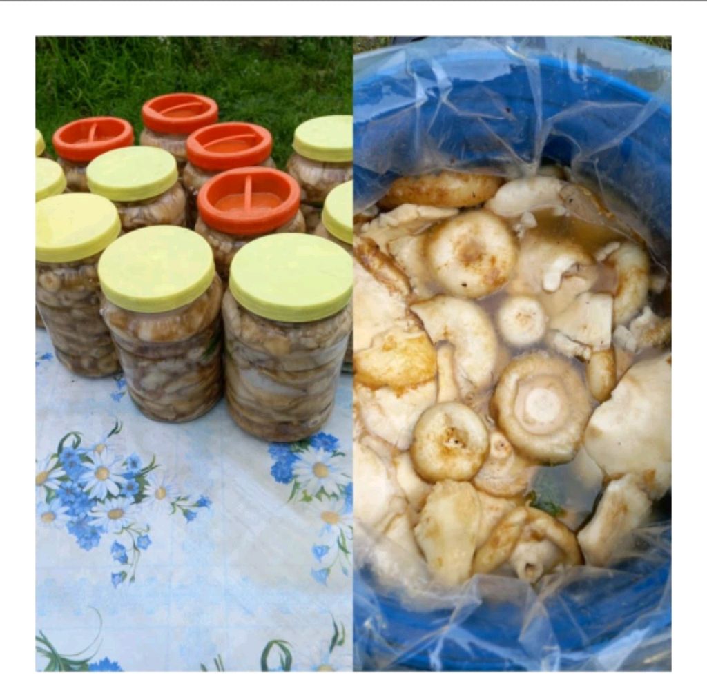 домашные вкусняшки