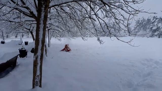 Вот это да! Снег в Краснодаре! Настя оторвалась по полной.
