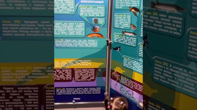 Аквариум СПБ смотреть онлайн