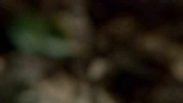 Короткометражка Гимназия Переделкино