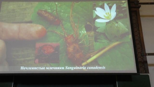 Зернов А. С. - Высшие растения - Секреторные ткани смотреть онлайн