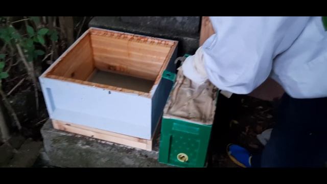 Пчеловодство в Англии. Пчелы в Шотландии. смотреть онлайн