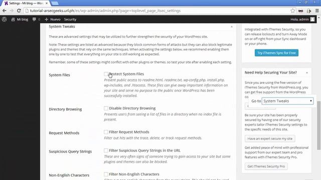 iThemes Security para WordPress: Ajustes del sistema смотреть онлайн