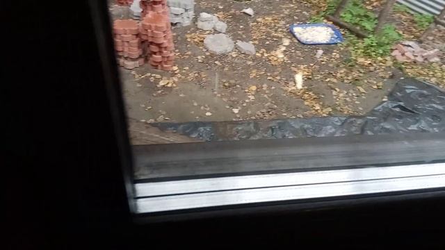 замарал окно пока ждал смотреть онлайн