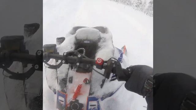 Yamaha Sidewinder Turbo Gopro video смотреть онлайн
