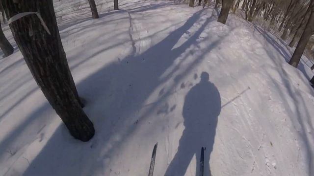 Лыжи TISA Race CAP Skating N90021V 192 см смотреть онлайн