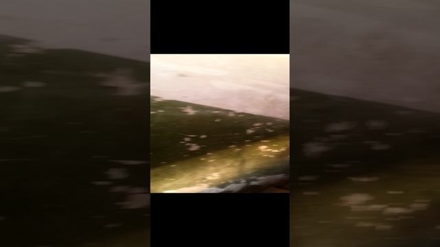 Луганская лествица