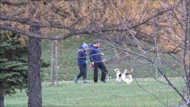 Утро на память. 5 ноября 2018 г. Ярославль. смотреть онлайн