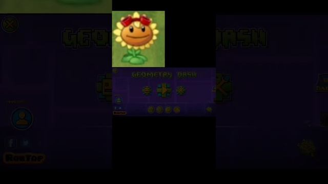 подсолнух проходит Clubstep